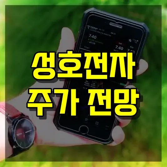 성호전자 주가 전망