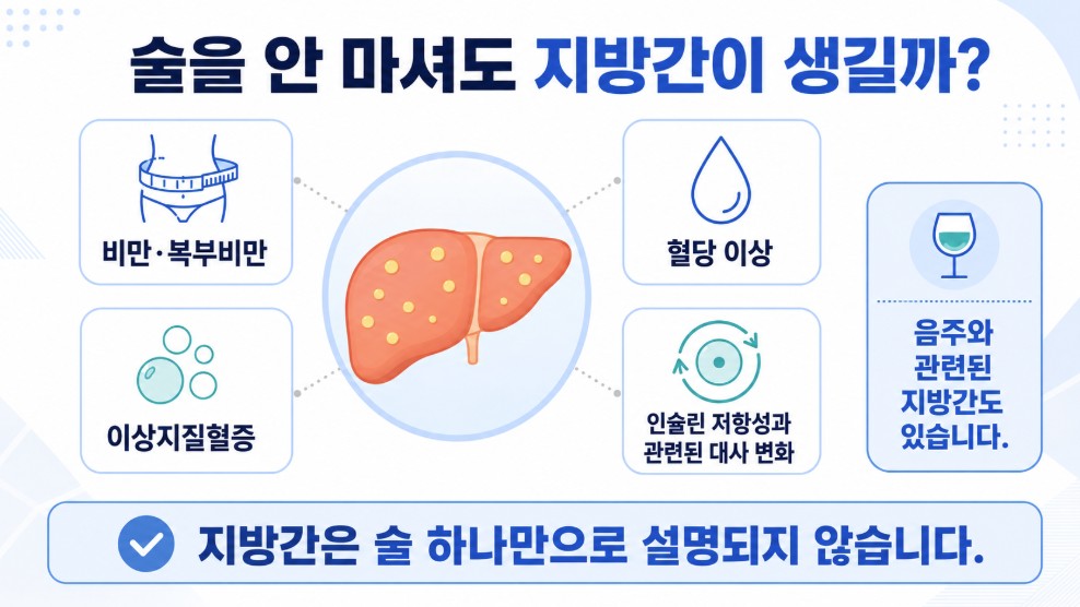 술을 많이 마시지 않아도 비만 복부비만 혈당 이상 이상지질혈증 등과 관련해 지방간이 생길 수 있다는 설명