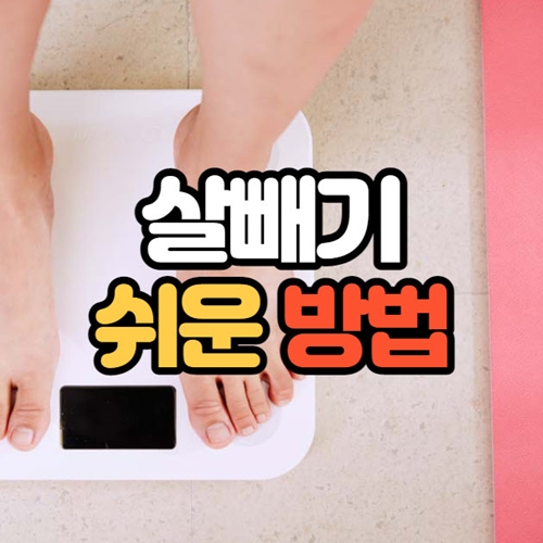 쉽게 살 빼기