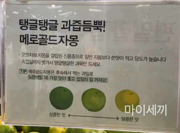 메로골드자몽 고르는법