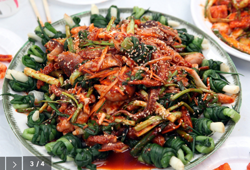 서천마량리 동백나무숲