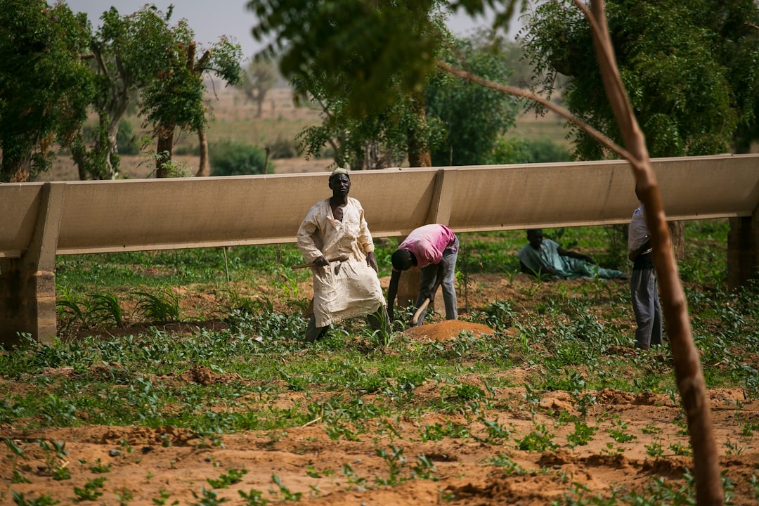 Farmers' allowance