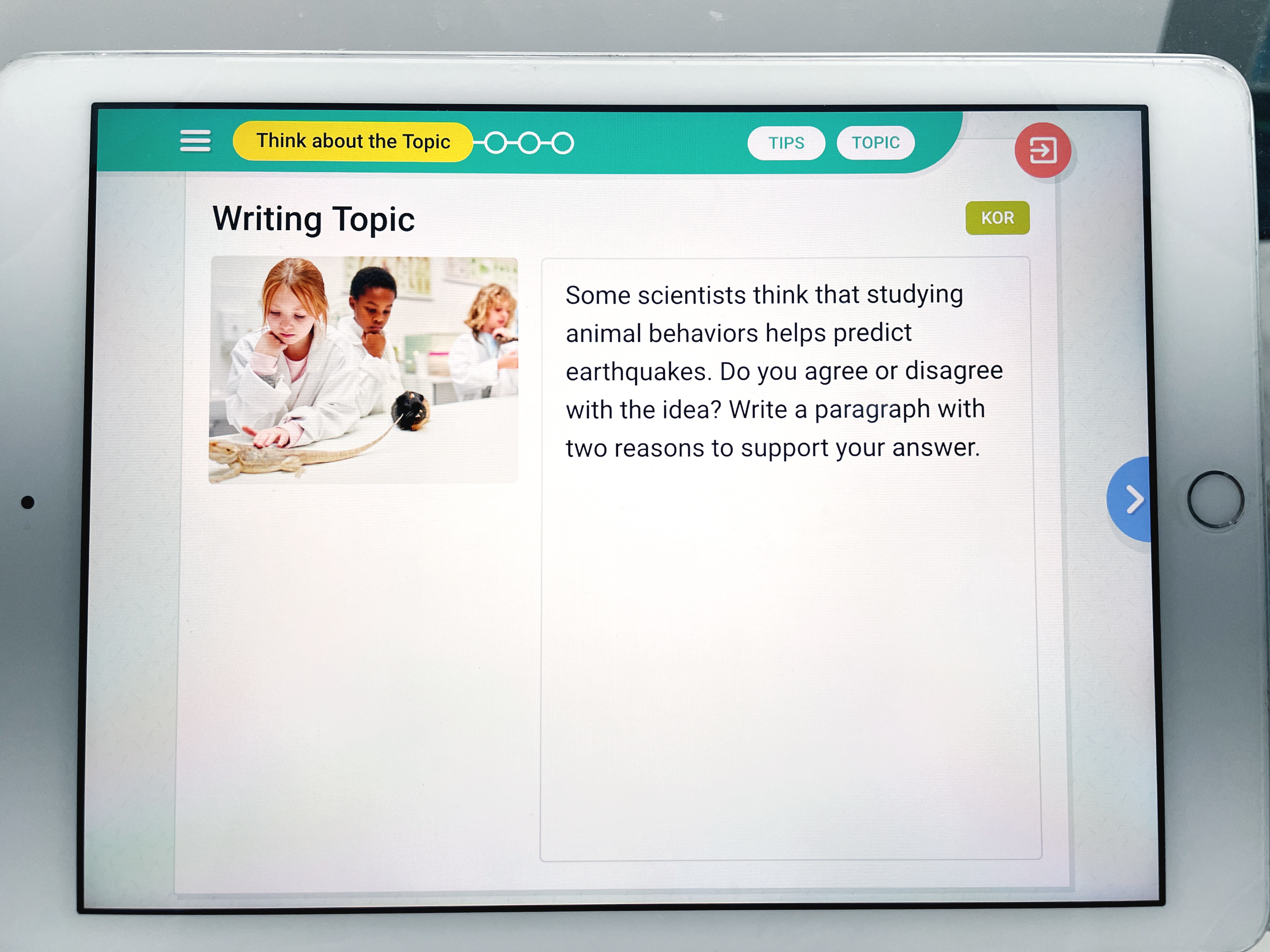 Paragrph Writing
