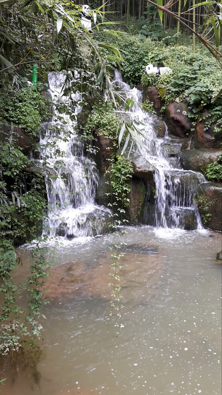 2025 혼자 떠나는 크루즈 여행 꿀팁! 혼자여도 충분히 즐거운 이유