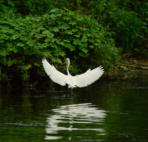 비학산의 자연경관 사진