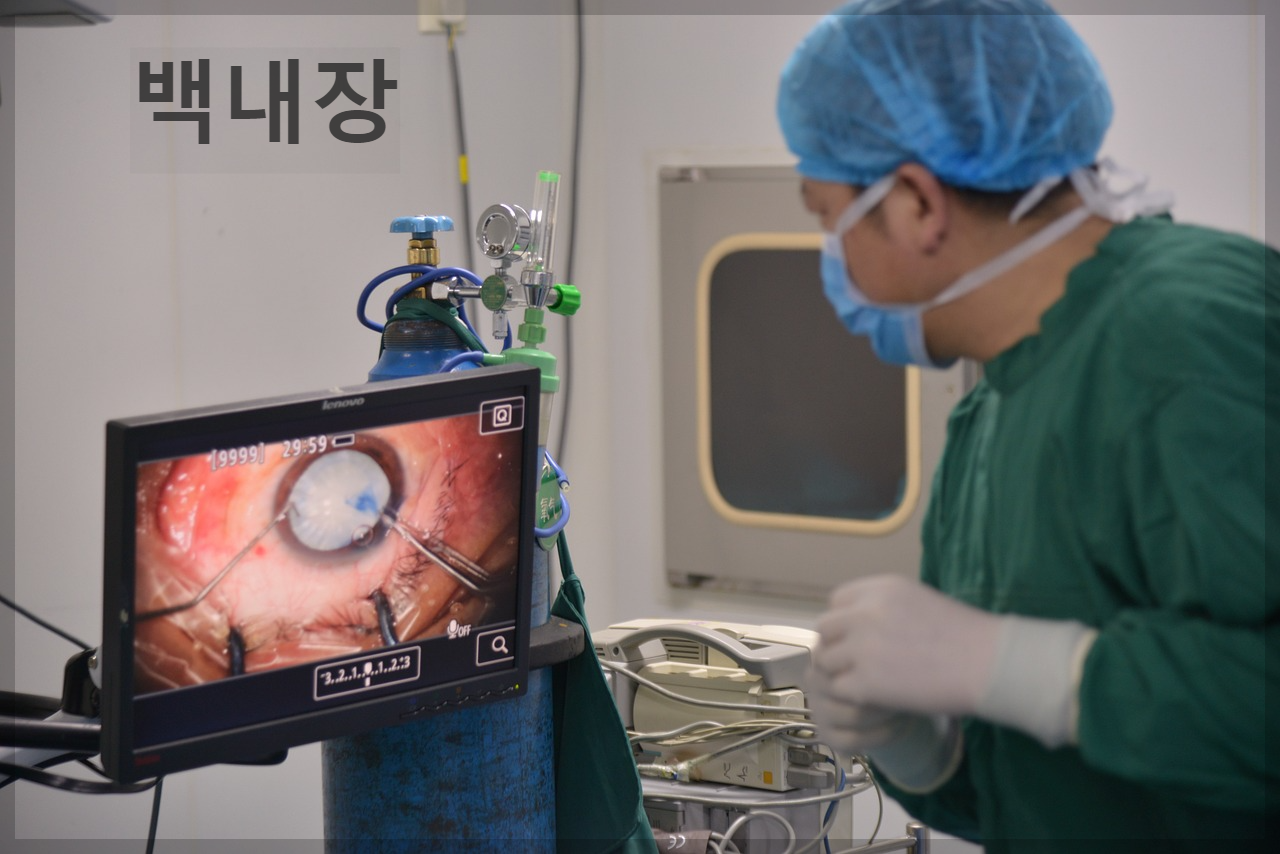 백내장