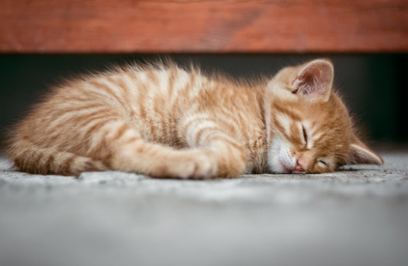 혈압 낮추는 법6