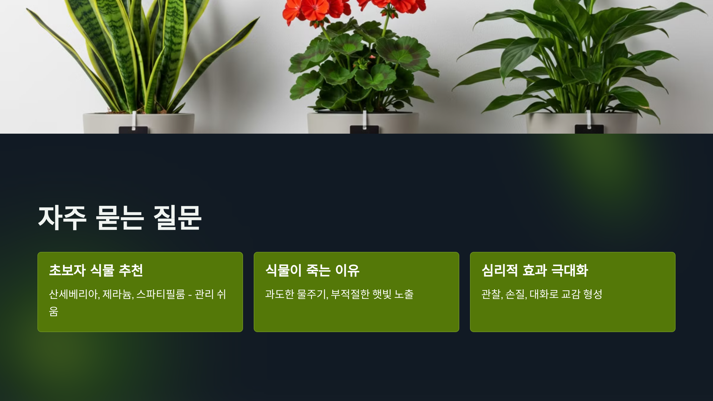 자주묻는 질문들