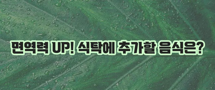 면역력에 좋은 음식 TOP 5, 꼭 챙겨 드세요!