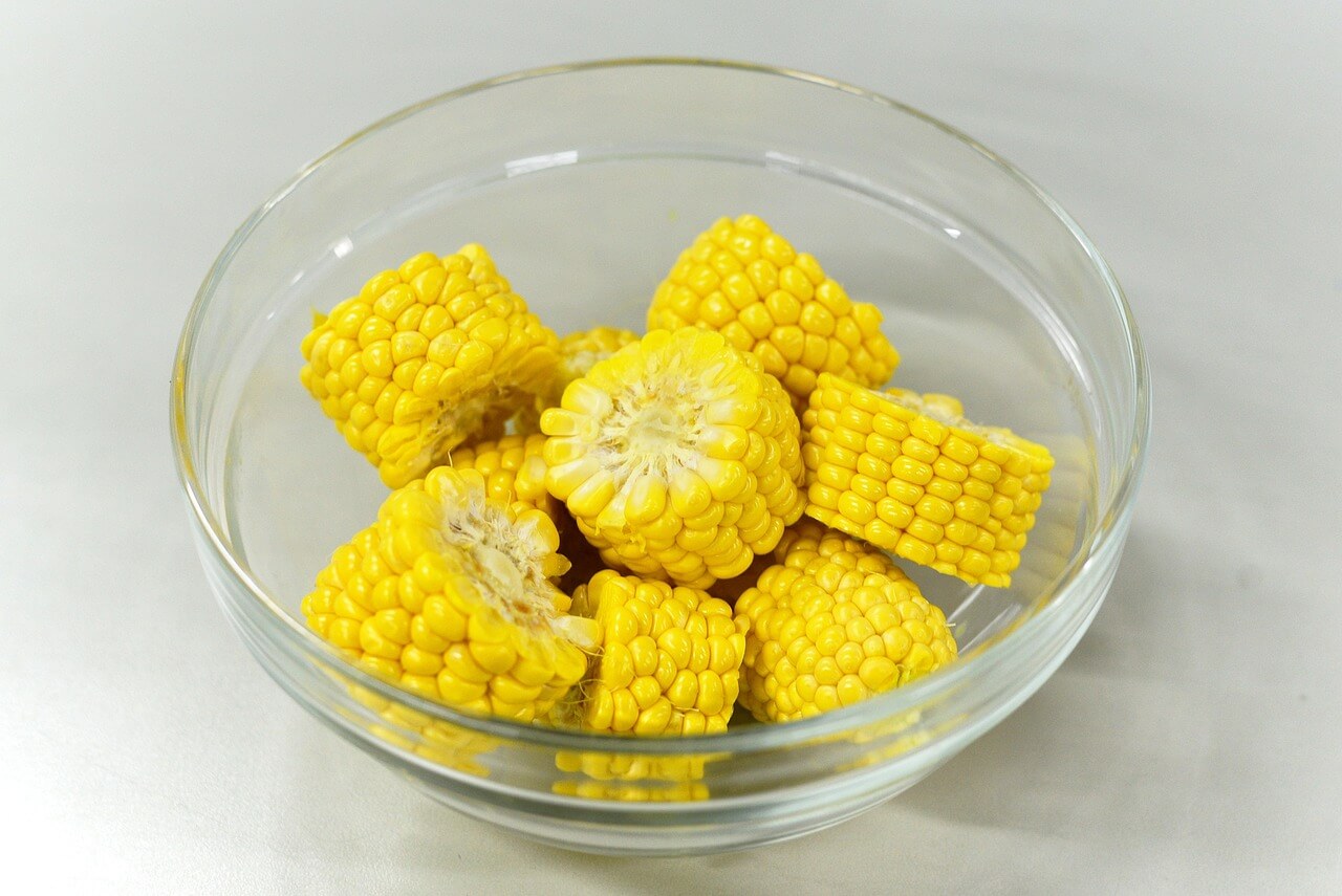 옥수수 보관방법