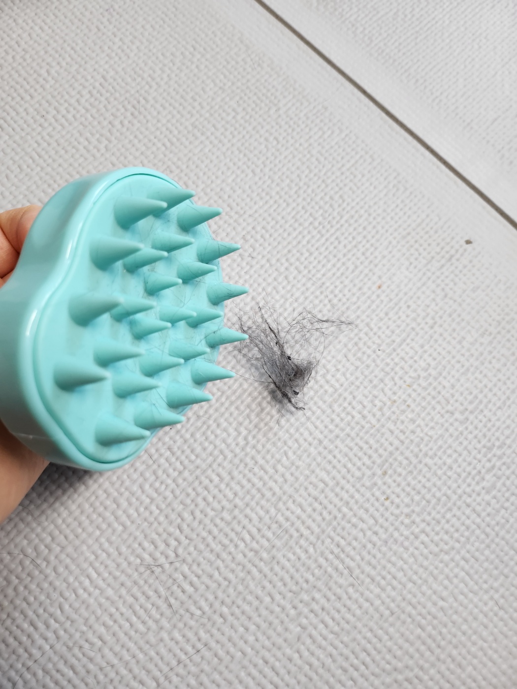 다이소 고양이빗추천