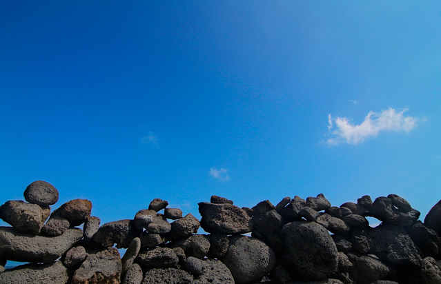제주 조릿대 바구니, 바람 속에 엮인 섬의 기술