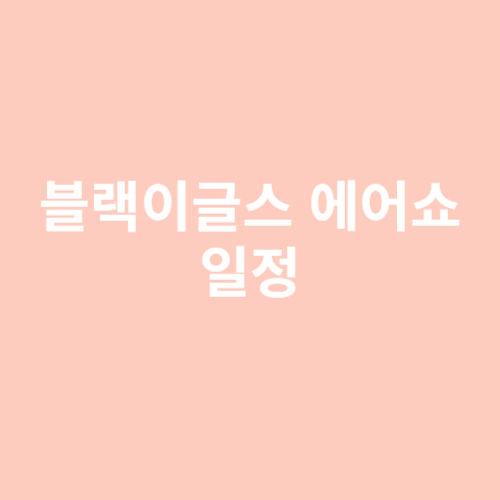 블랙이글스 에어쇼