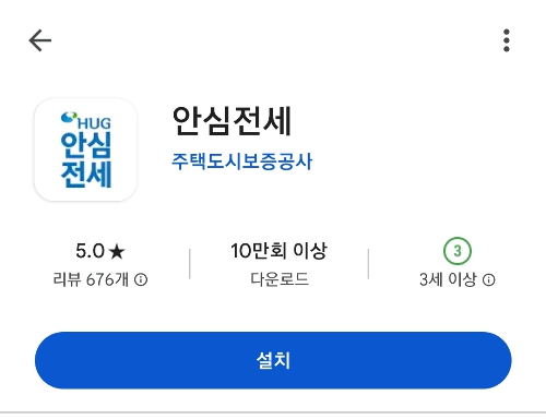 안심전세