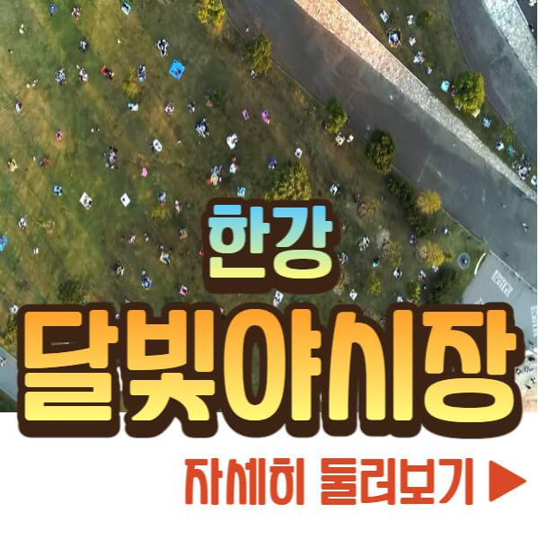 한강 달빛 야시장