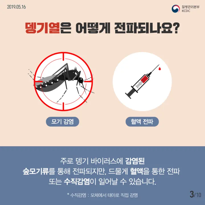 뎅기열전파