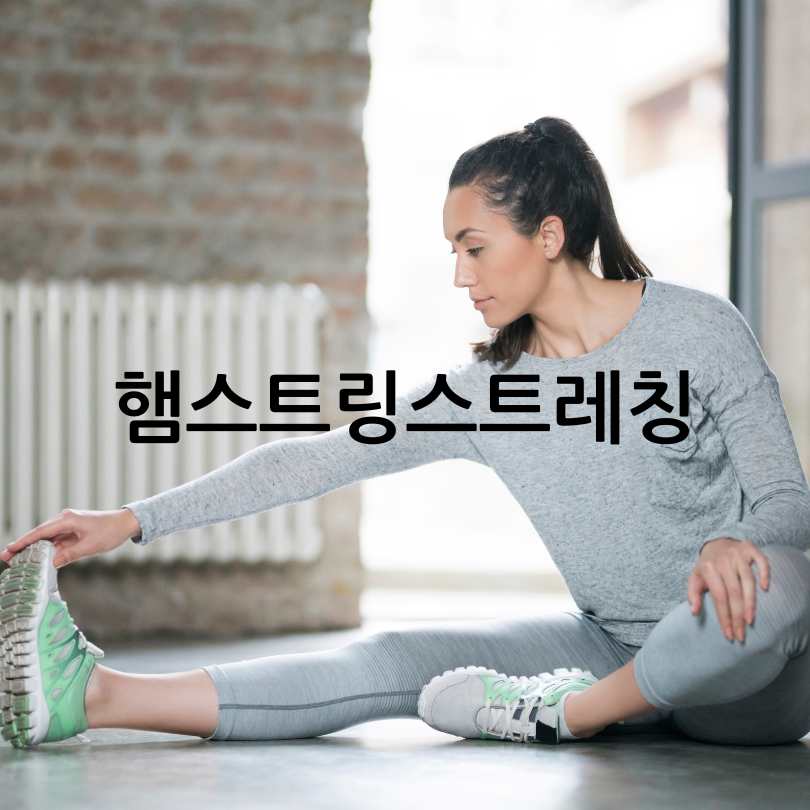 무릎통증관절운동영양제