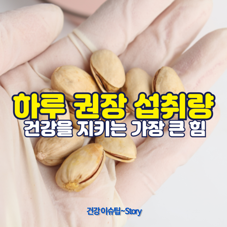 바쁜 일상에서도 건강을 유지할 수 있는 간편하고 실용적인 팁을 확인하세요!