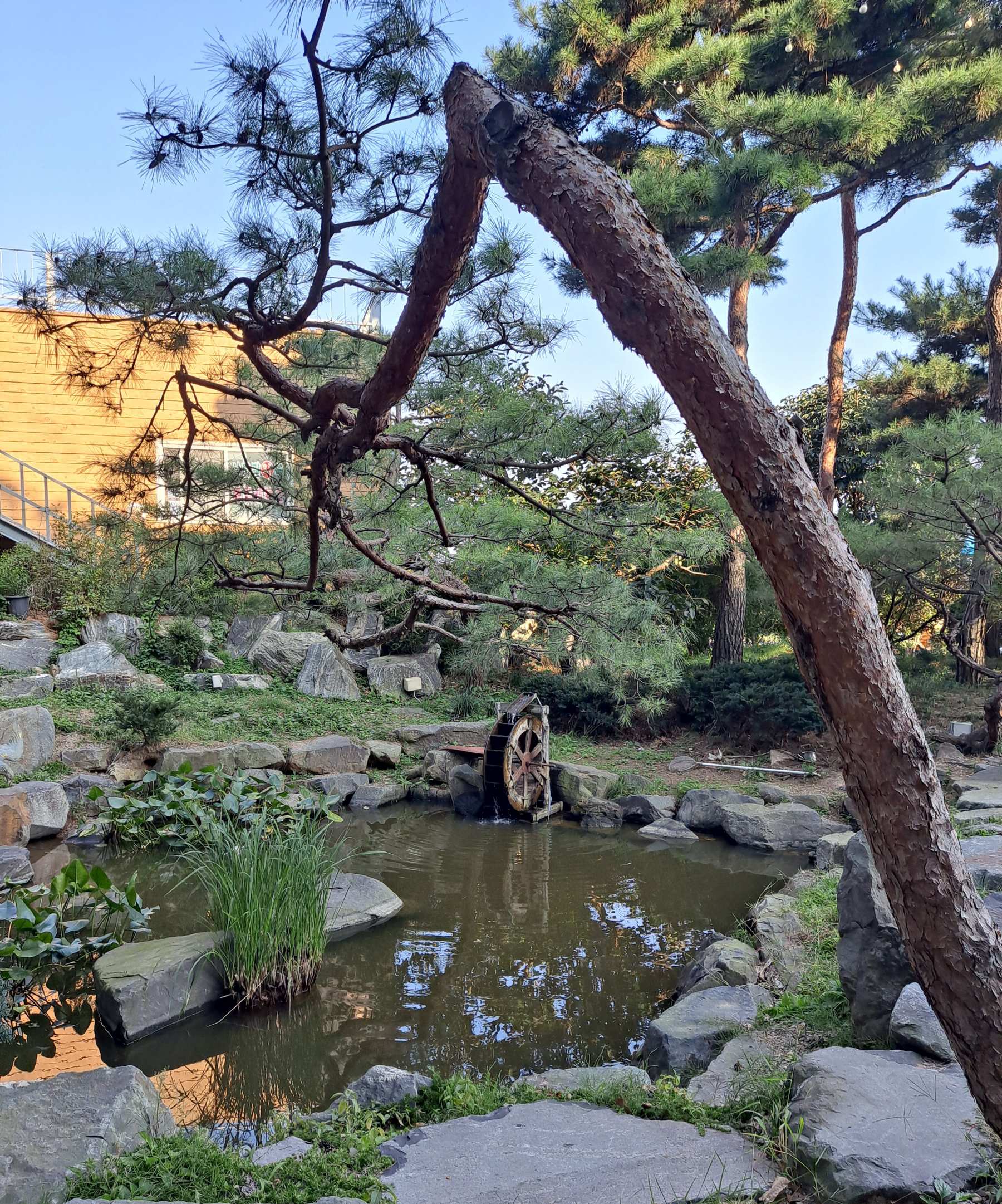 꼬막한상 야외 연못