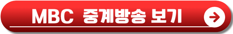 요르단전