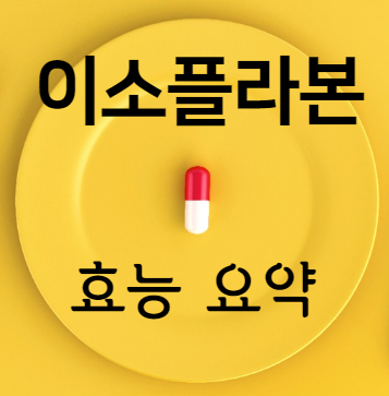 이소플라본 효능 요약