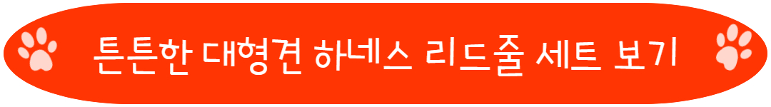 튼튼한 대형견 하네스 리드줄 세트