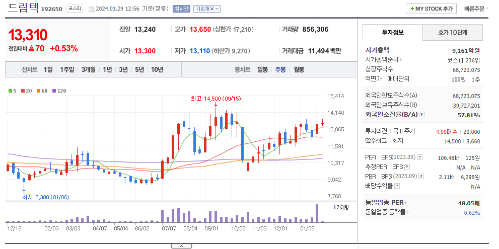 드림텍 주봉차트