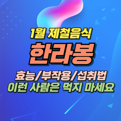 한라봉 효능 부작용