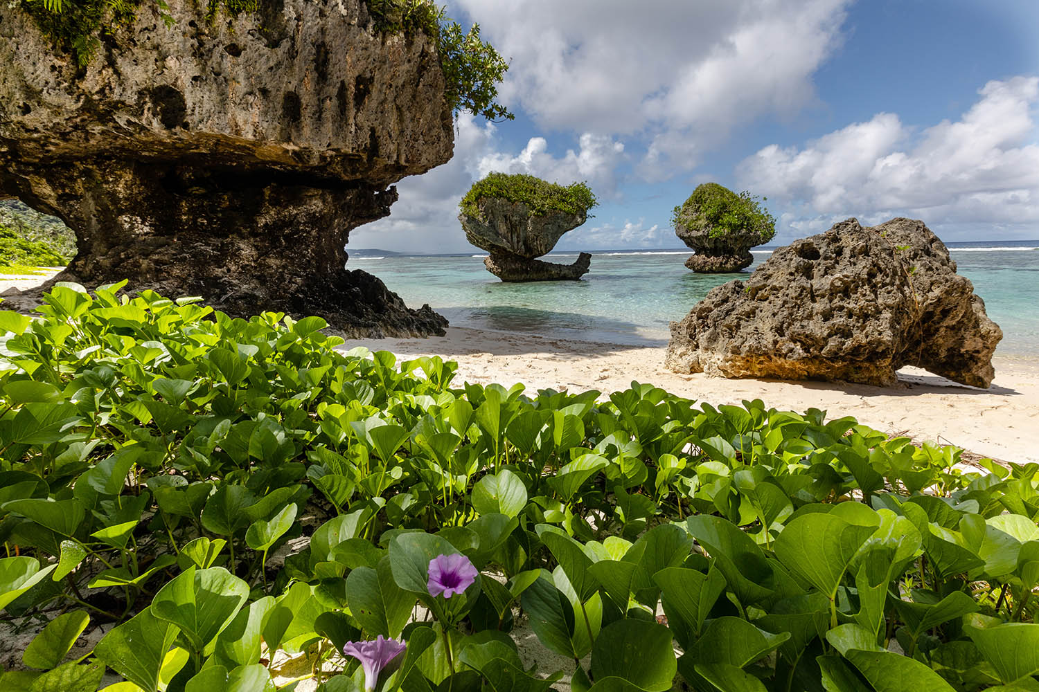 괌 탕기슨 비치 버섯바위