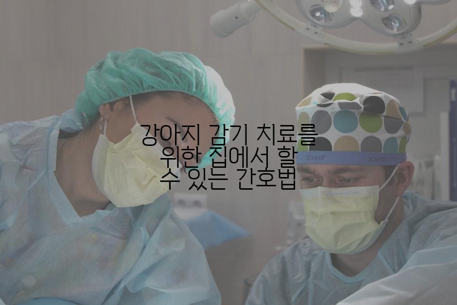 강아지 감기 치료를 위한 집에서 할 수 있는 간호법