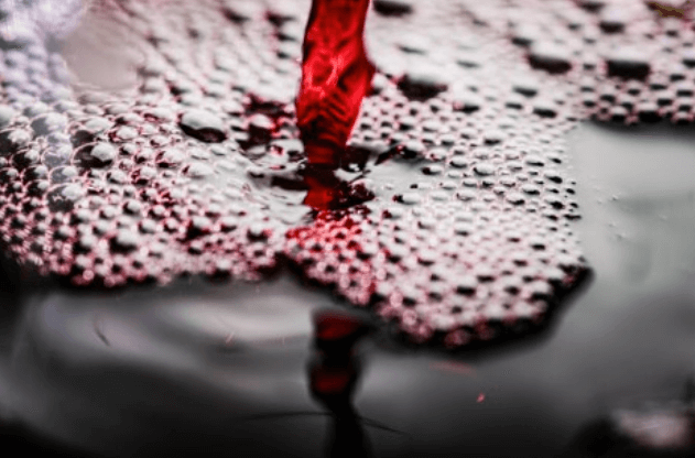 2025 고창 복분자와 수박축제 일정, 프로그램, 날짜