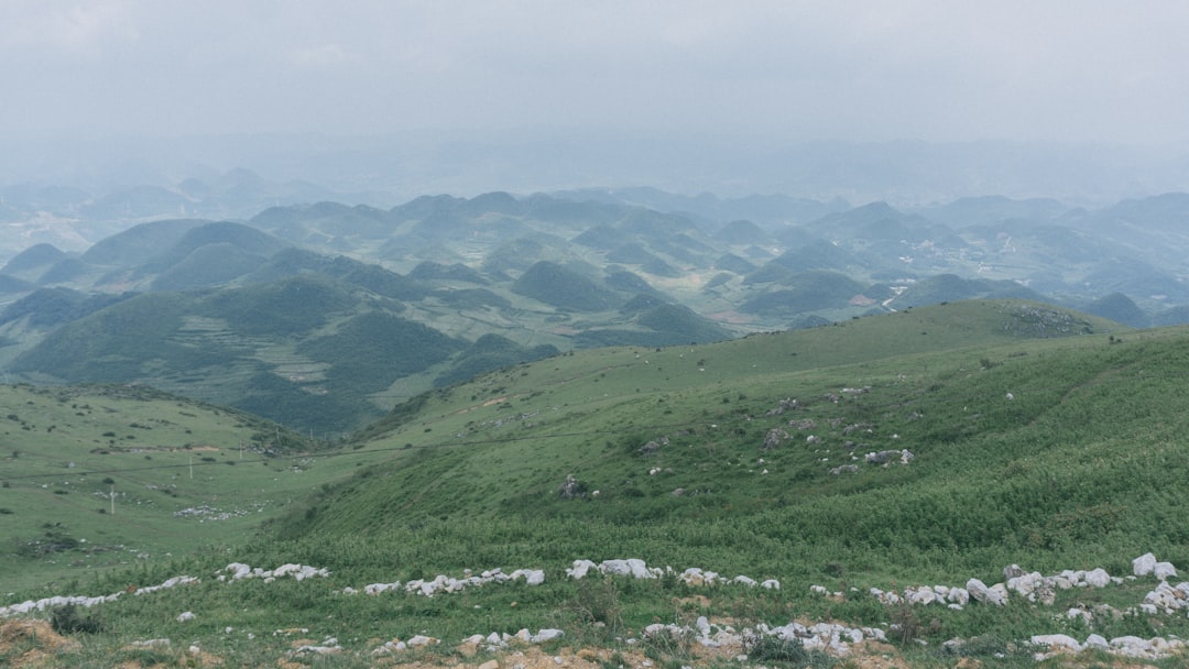 Gangdong-gu