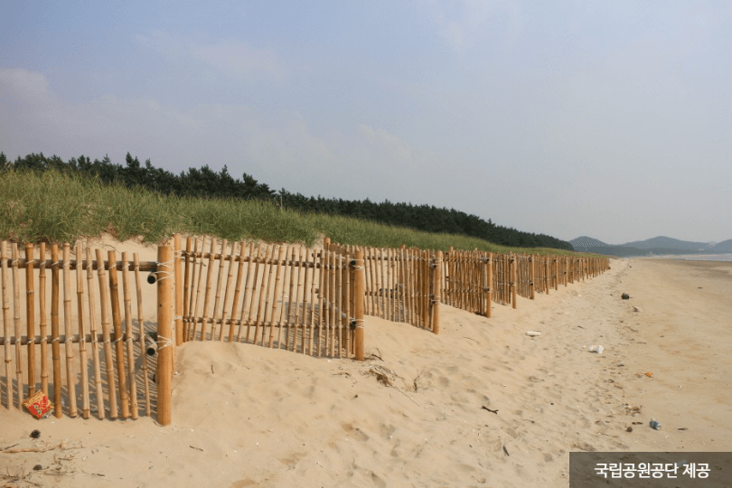 기지포해수욕장 (태안군)