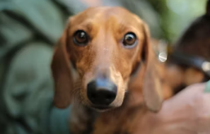 은퇴 후 창업아이템 알아보기