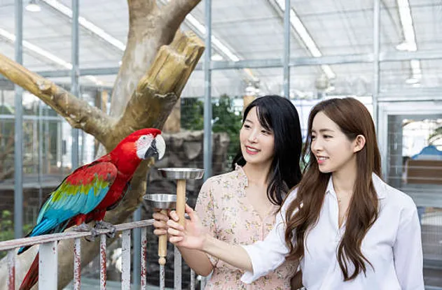 오산버드파크