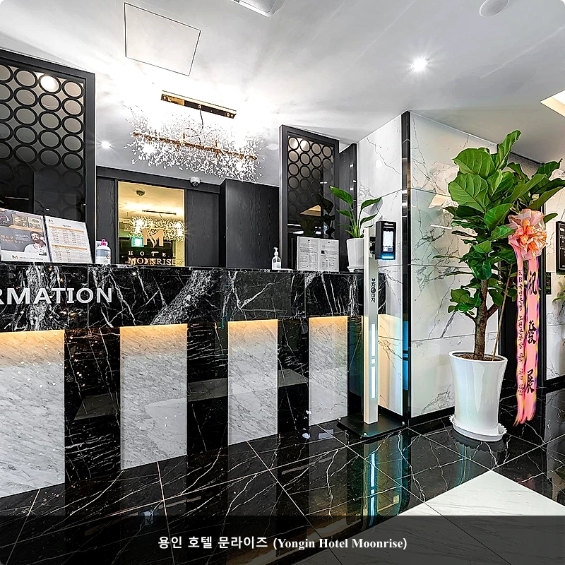용인 호텔 문라이즈 (Yongin Hotel Moonrise)_3
