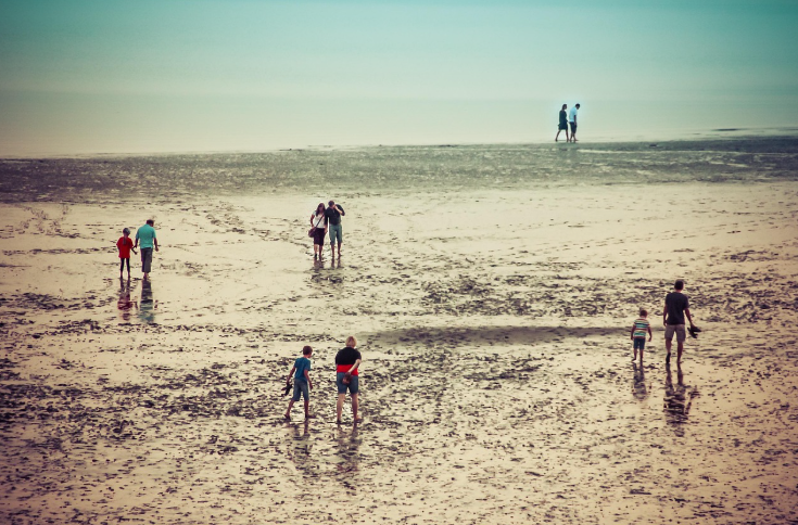 갯벌체험 이미지4