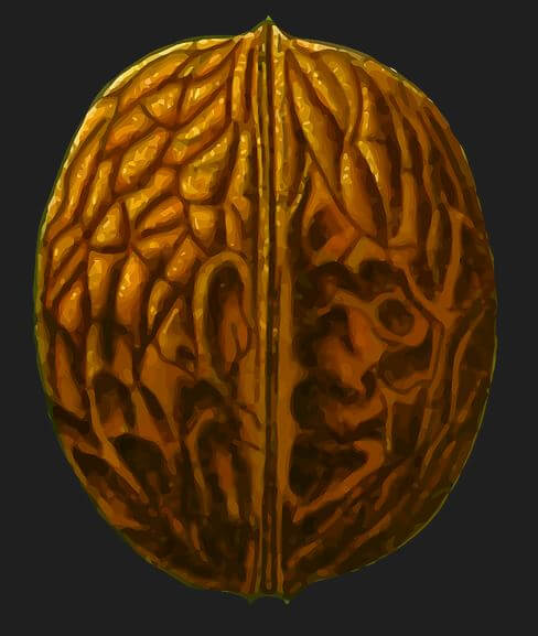 담낭 제거 수술후 먹지말아야할 음식