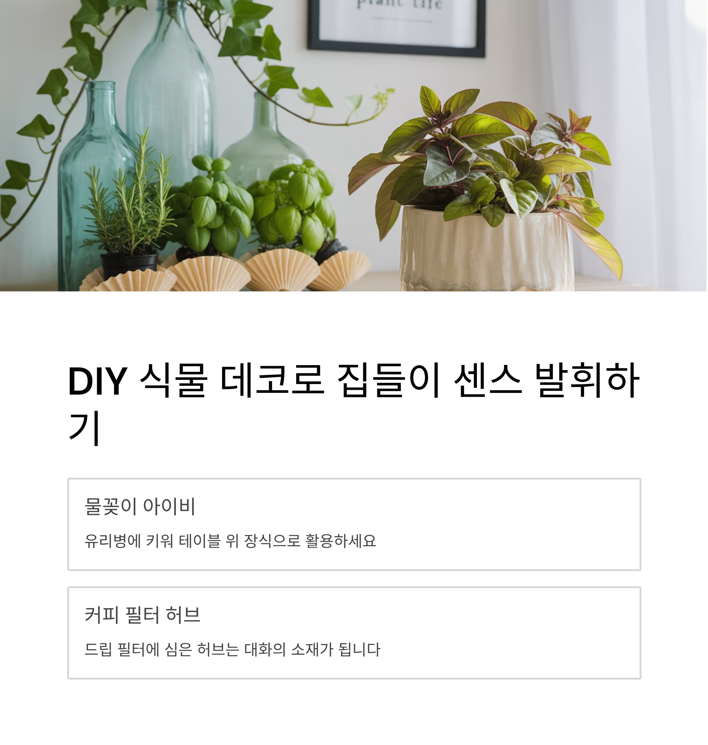 식물 데코로 센스 발휘