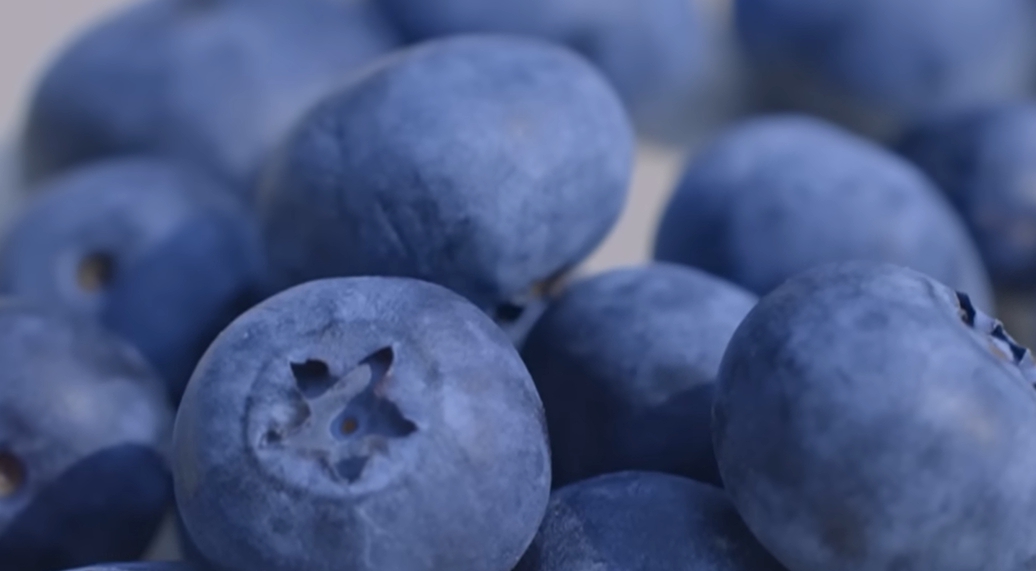 블루베리 효능 부작용