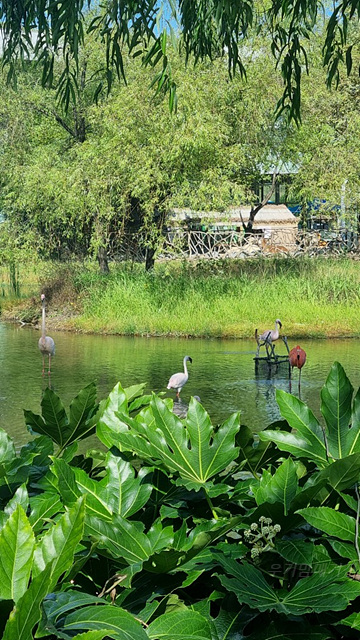 순천만국가정원 어린이 동물원 서문 순천여행 24년 11월 사진