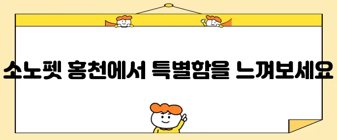 애견 동반 국내 여행 강원도 강아지 호텔 소노펫 홍천에서 특별한 경험을 만나보세요