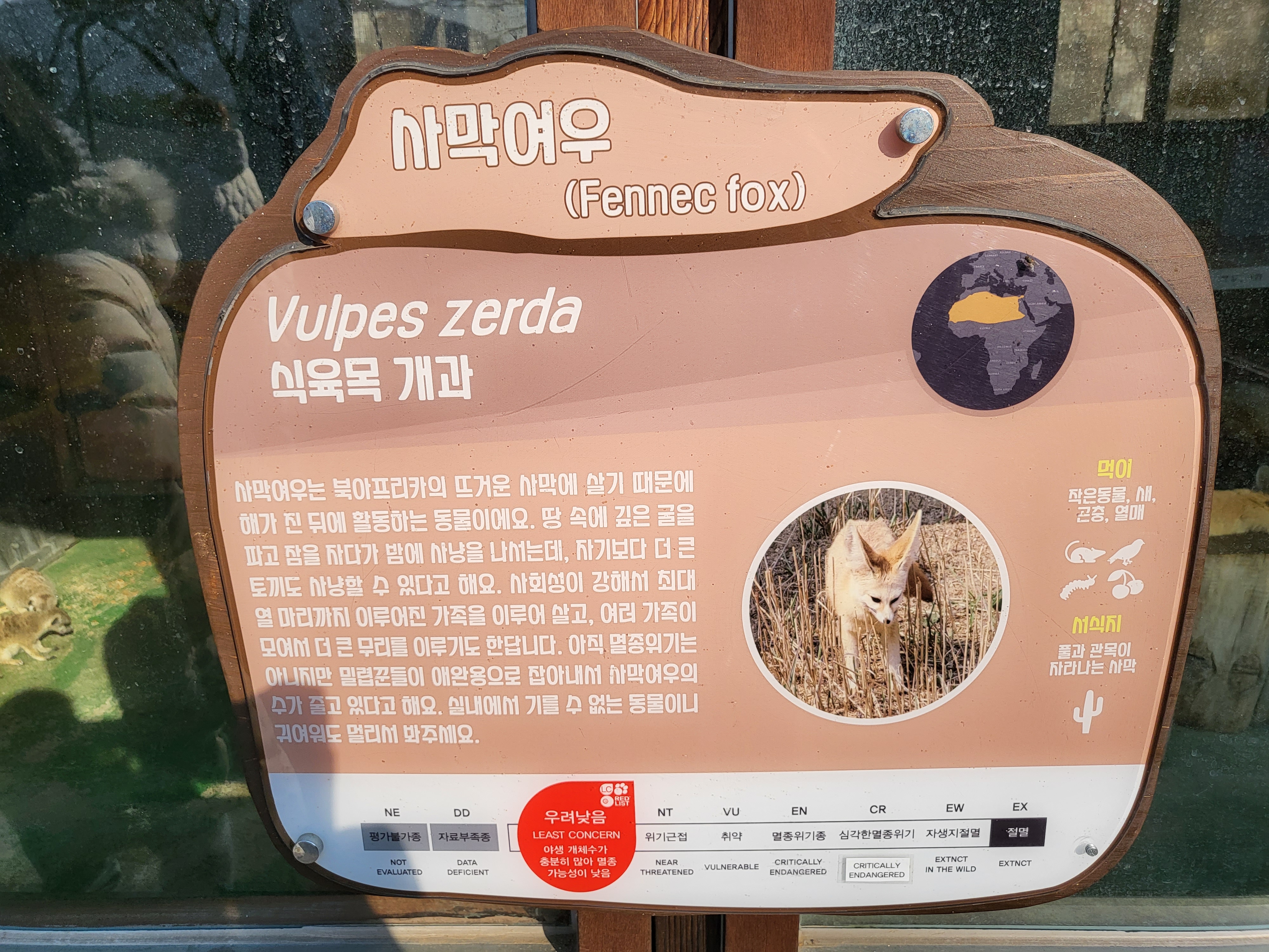 청주 동물원 - 사막여우 안내판