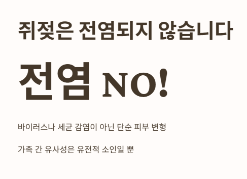 쥐젖 전염 no