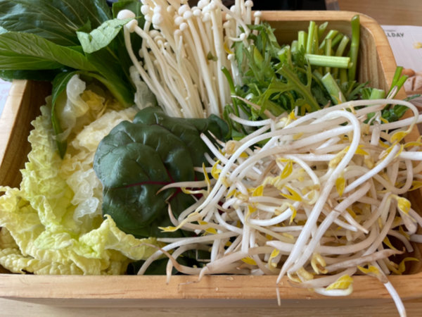 샤브올데이 샤브샤브 야채 - 배추, 숙주, 청경채, 팽이버섯 등