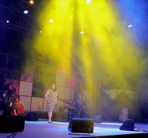 무주 반딧불축제