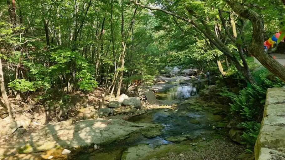 여름 무더위 피서지 - 곡성 섬진강 계곡(전라도 #3)