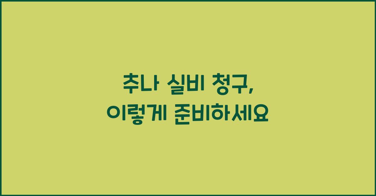 추나 실비
