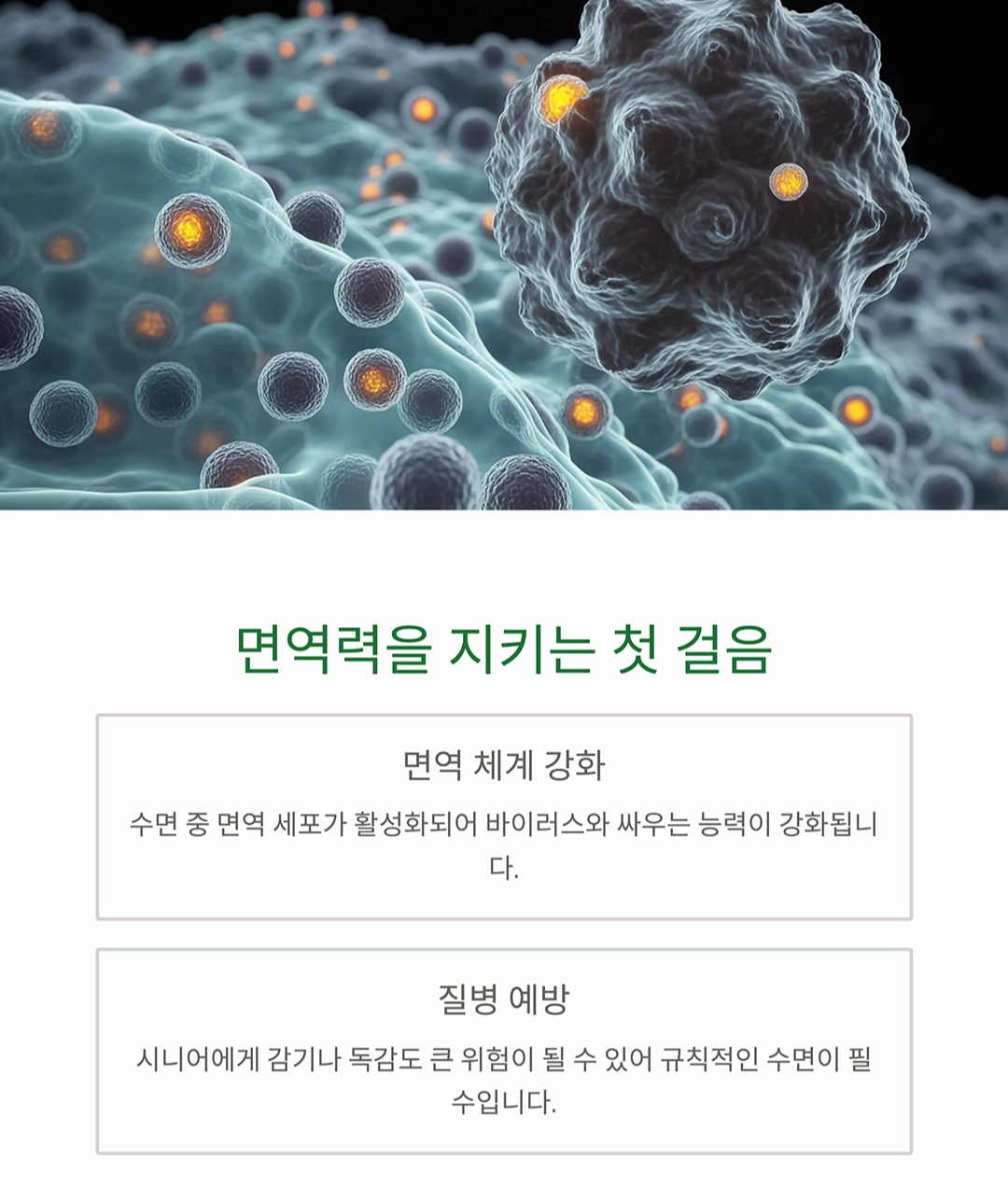 규칙적인 수면이 시니어 건강에 주는 놀라운 변화
