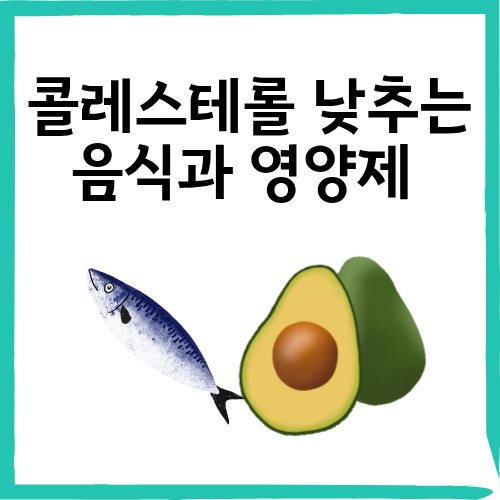콜레스테롤 콜레스테롤 낮추는 음식과 영양제 추천